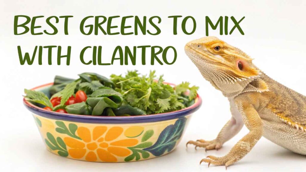 Best Greens to Mix with Cilantro