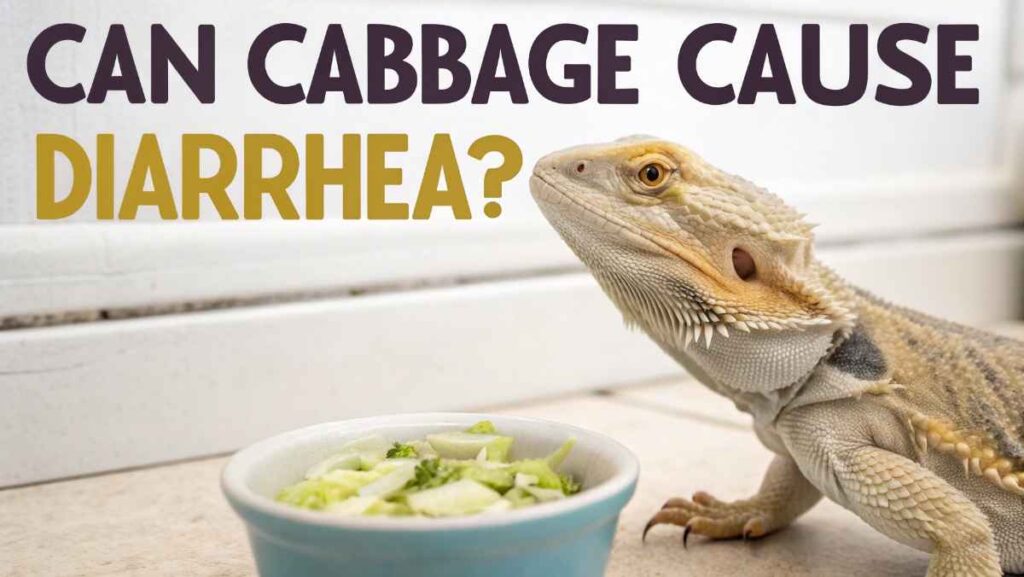 Can Cabbage Cause Diarrhea?