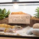Leopard Gecko Substrate