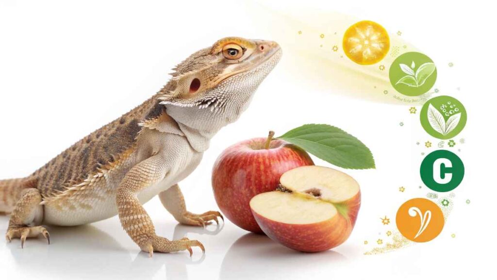 Rich in Important Vitamins